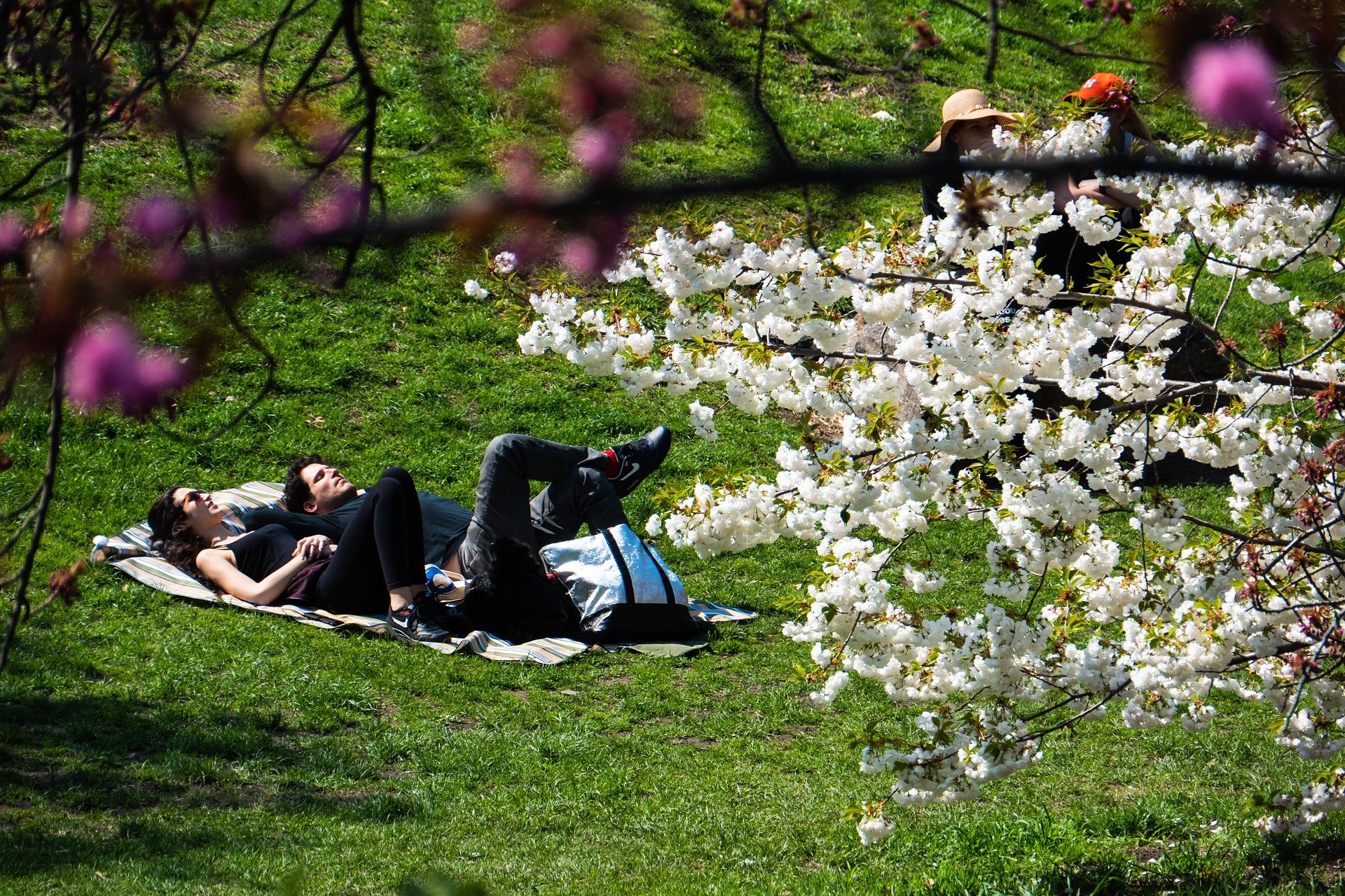 Couple in a park